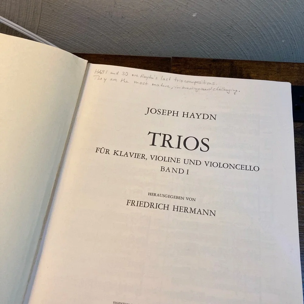 Haydn Trios Band I Piano Violin Cello Sheet Music Edition Peters Nr 192a Vintage